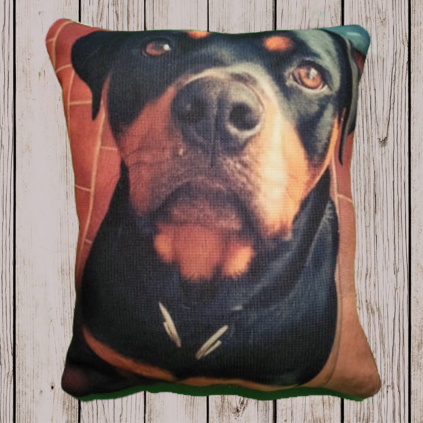 Quirky Animal cushions