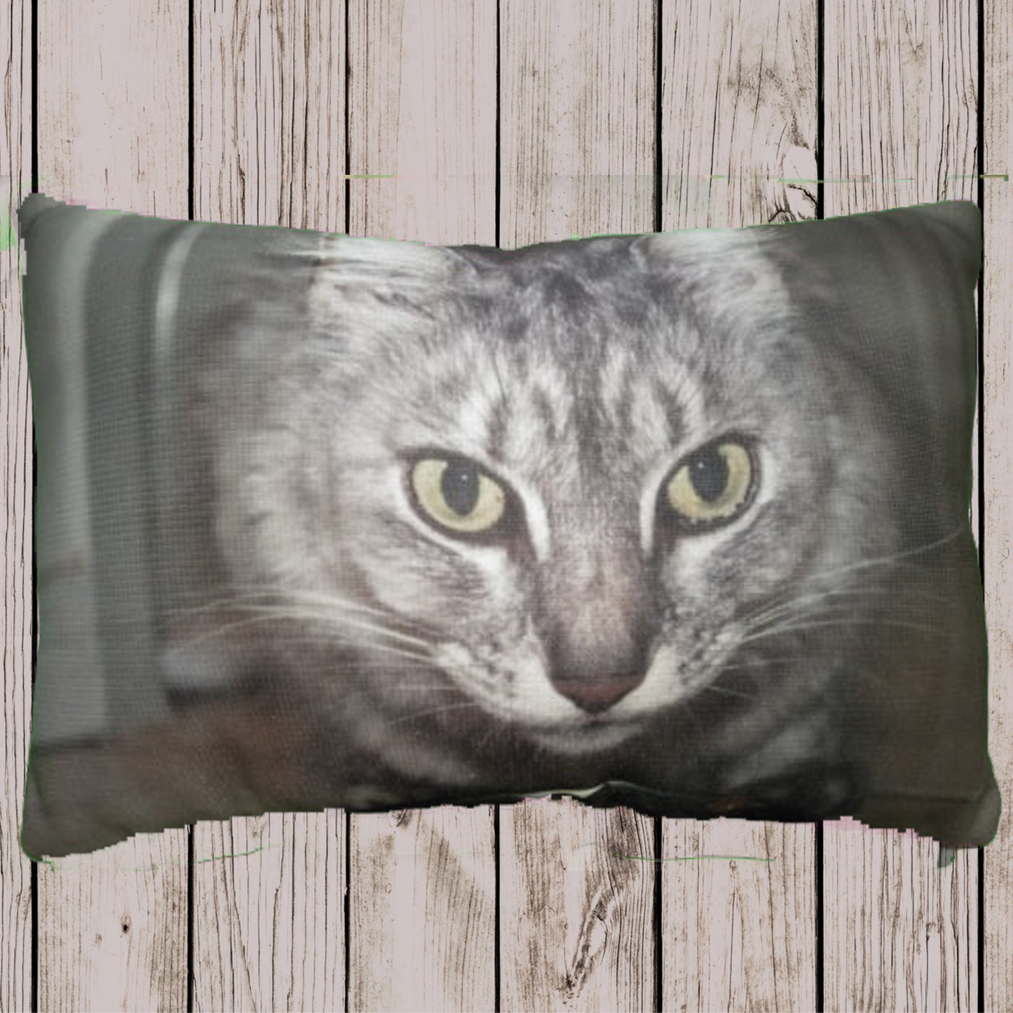Quirky Animal cushions